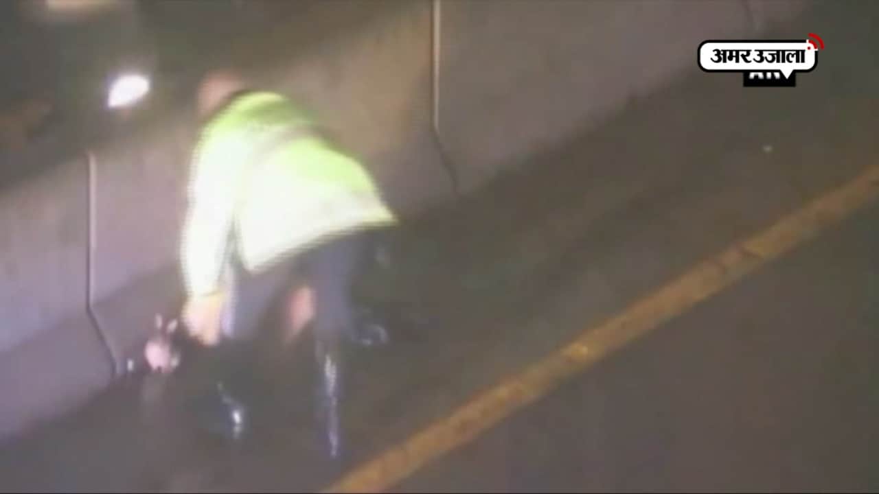 देखें, जब एक अदने से खरगोश ने निकाल दिए पुलिस के पसीने