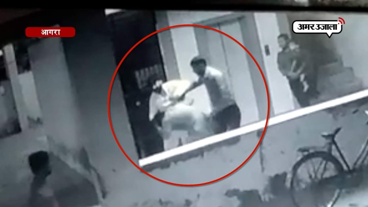 बीजेपी नेता