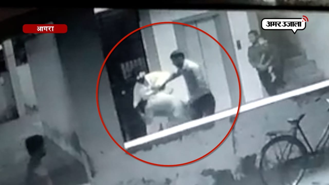 बीजेपी नेता