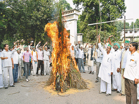 farmer burn ganna holi