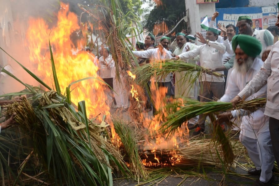 farmers burn their crops in front of vidhan bhawan in Lucknow.