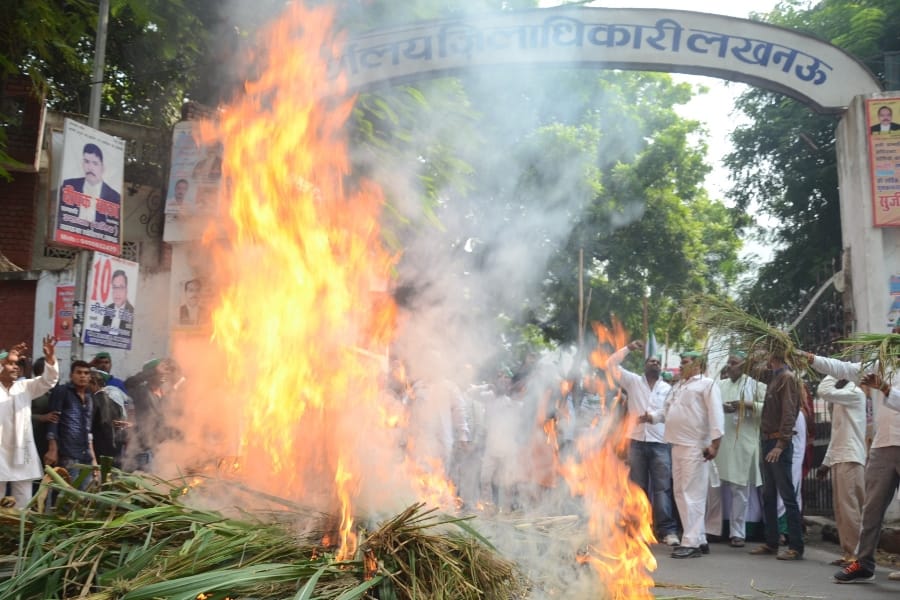 farmers burn their crops in front of vidhan bhawan in Lucknow.
