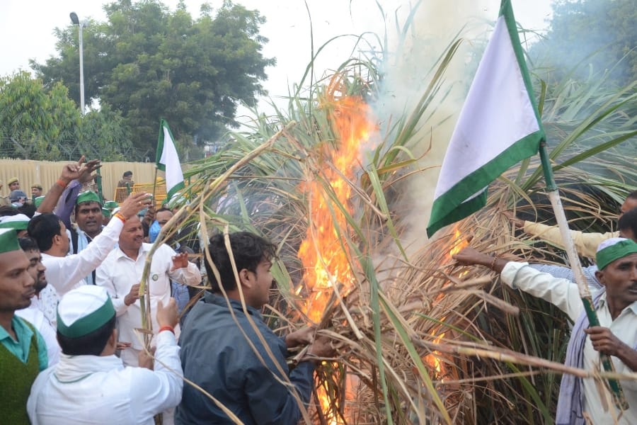 farmers burn their crops in front of vidhan bhawan in Lucknow.