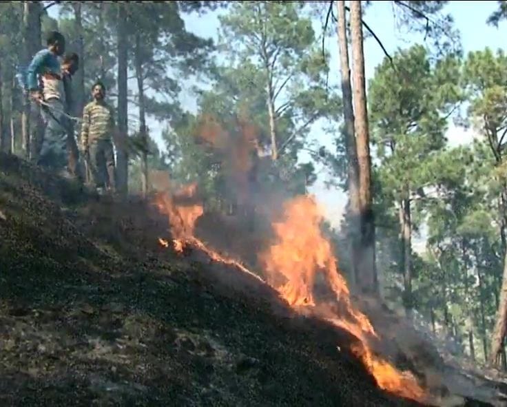 fire broke out in forest of doda in jammu kashmir 