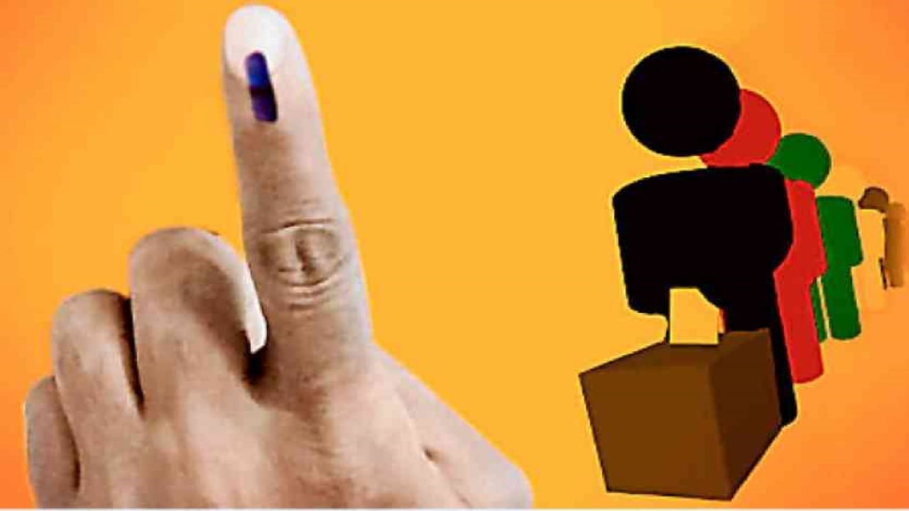 नगर निकाय चुनाव