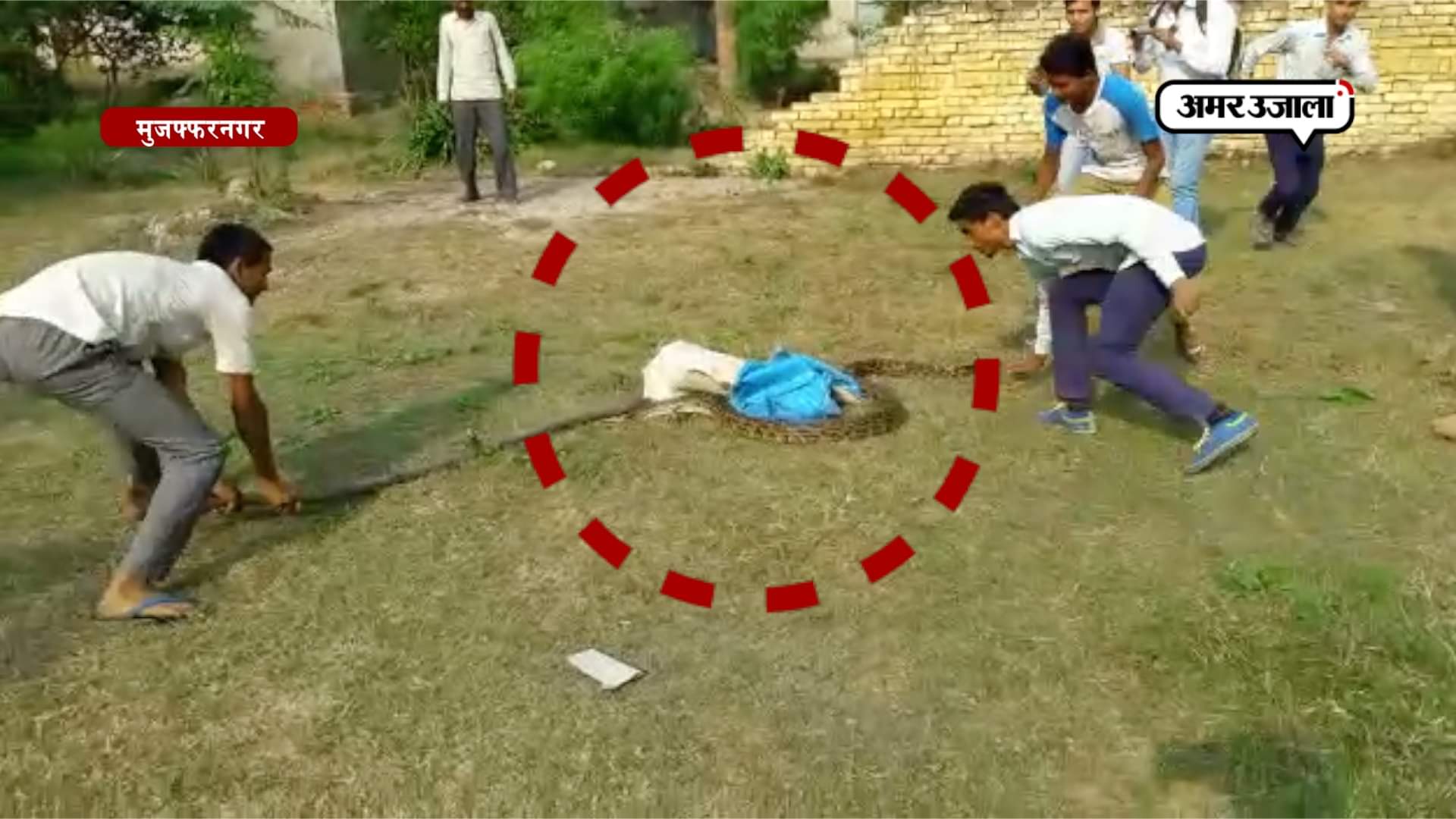 अजगर पकड़ा गया