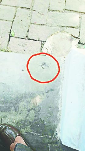 Pistol shot in thana 