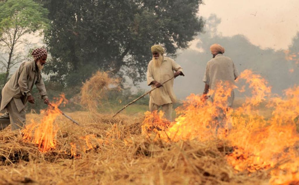 Cases of stubble burning increased in Punjab, record of last two years breaking