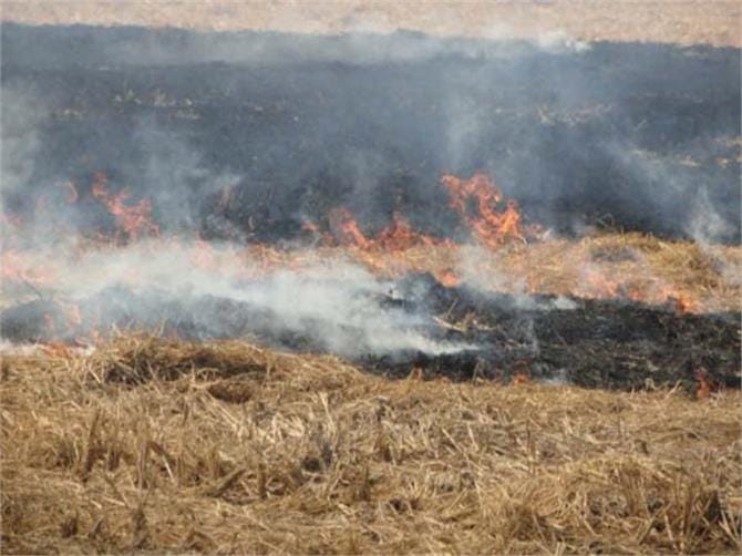 study links black carbon emission and covid-19, all you want to know