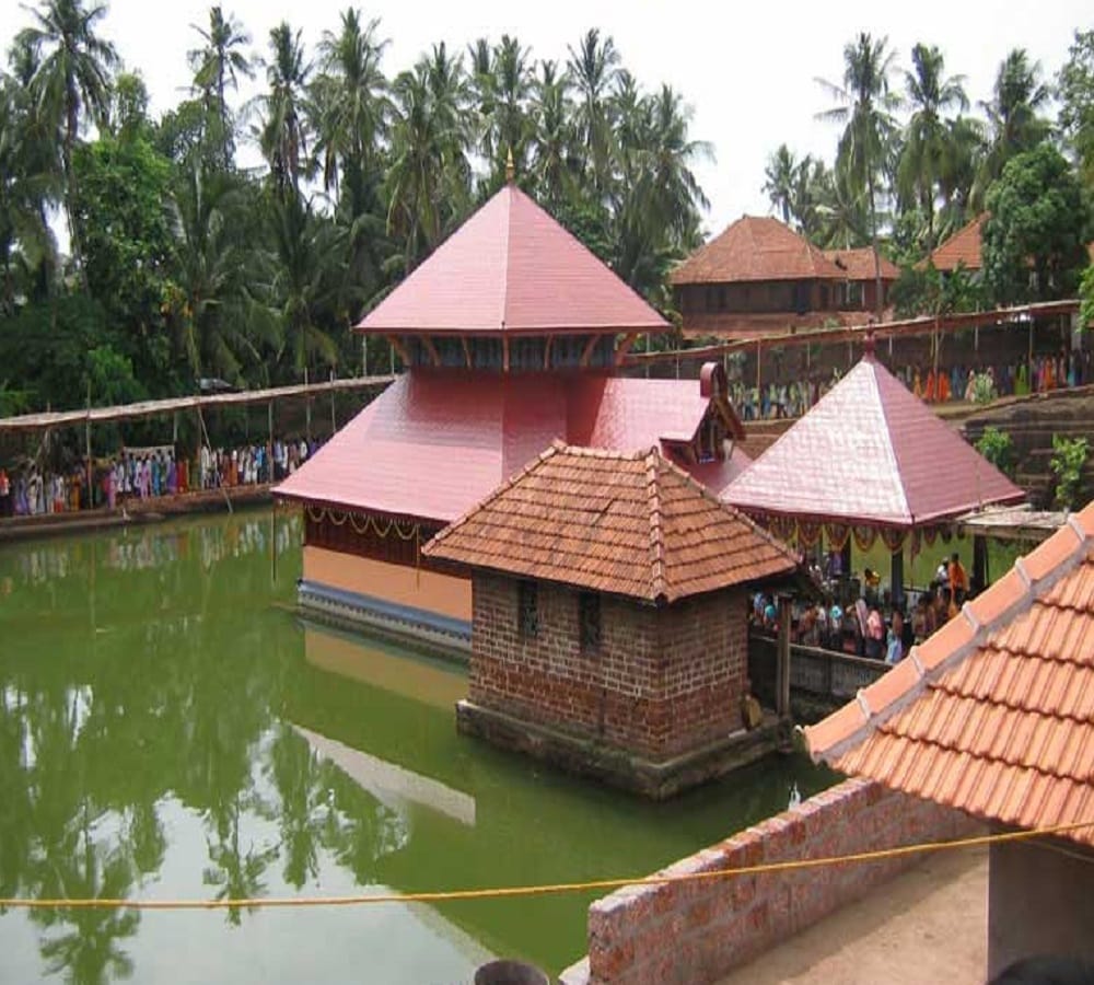 This Babiya crocodile become the guard of Kerala Anantapur Lake temple 