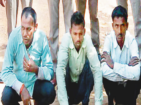 Three thieves, including ten buffaloes, were caught by the police