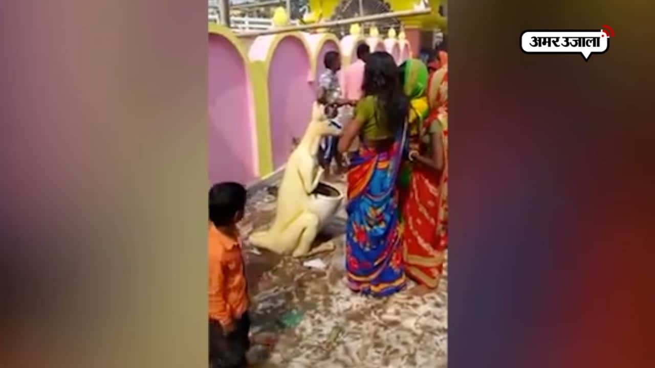 वायरल वीडियो 