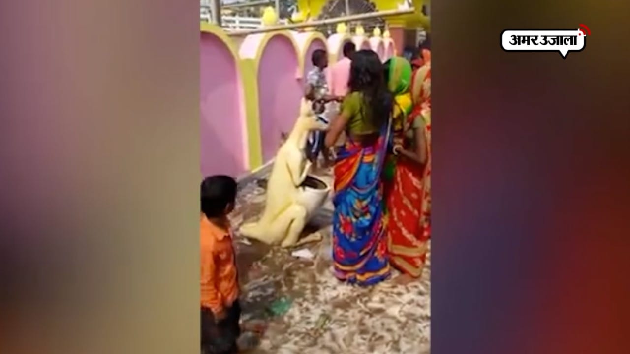 वायरल वीडियो 