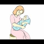 himachal assembly election anganwadi worker will take care of babies on polling day