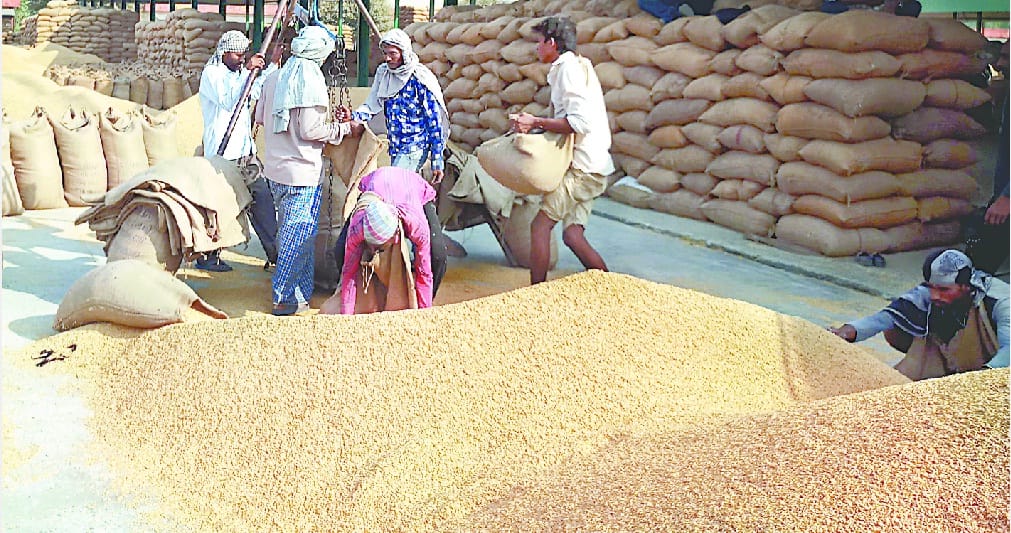 Additional paddy purchasing centers will open in Mirzapur, Chandauli and Ballia