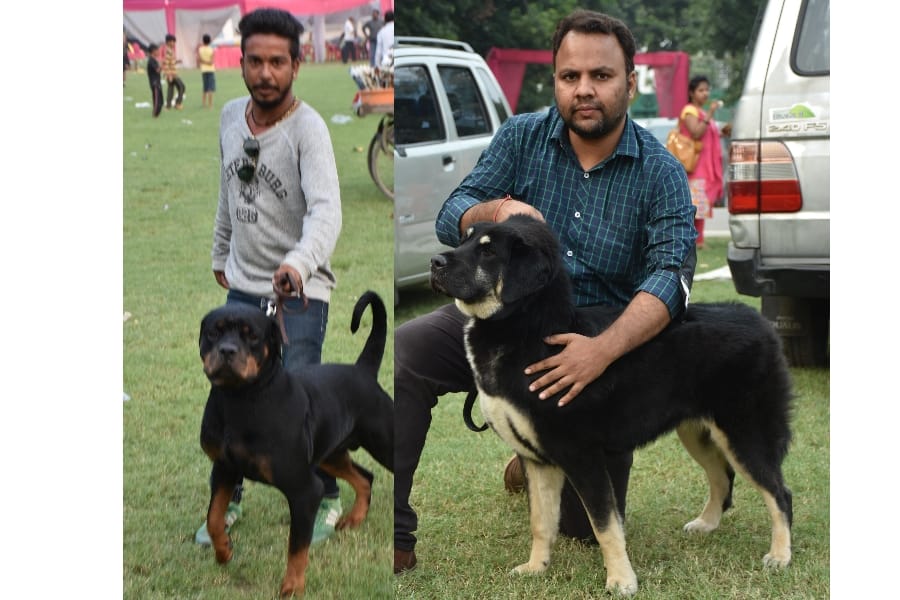 amar ujala dog show in Lucknow.