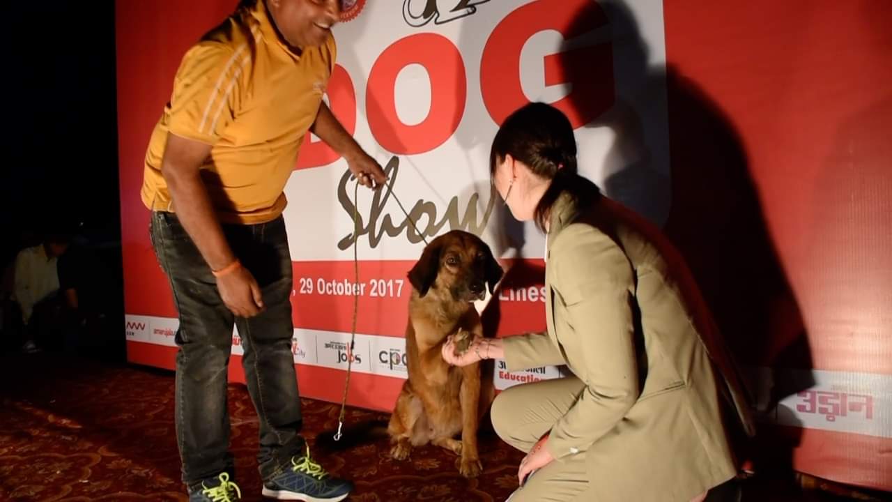 डॉग शो