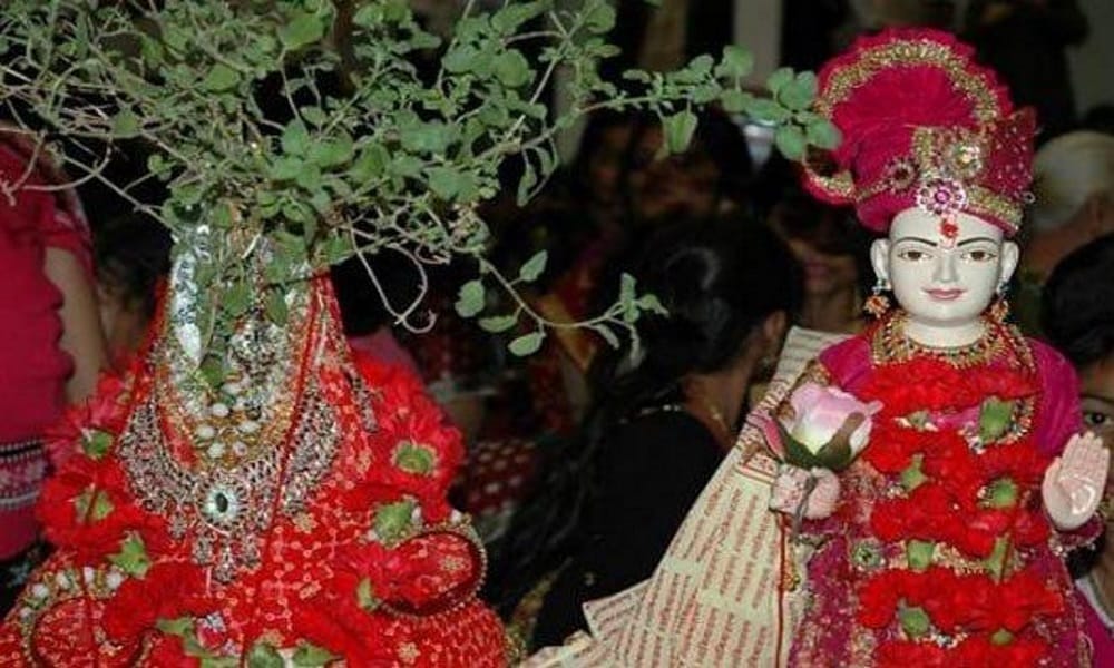  some important things during tulsi vivah on occasion of dev uthani ekadashi