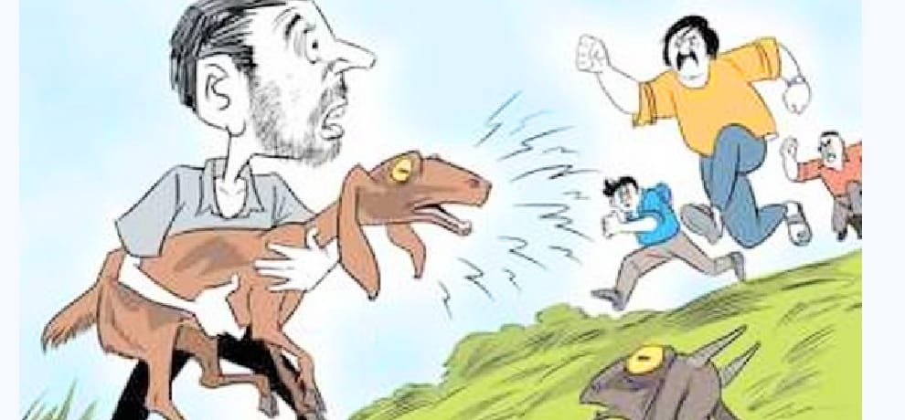 court ordered three year prison in goat theft case