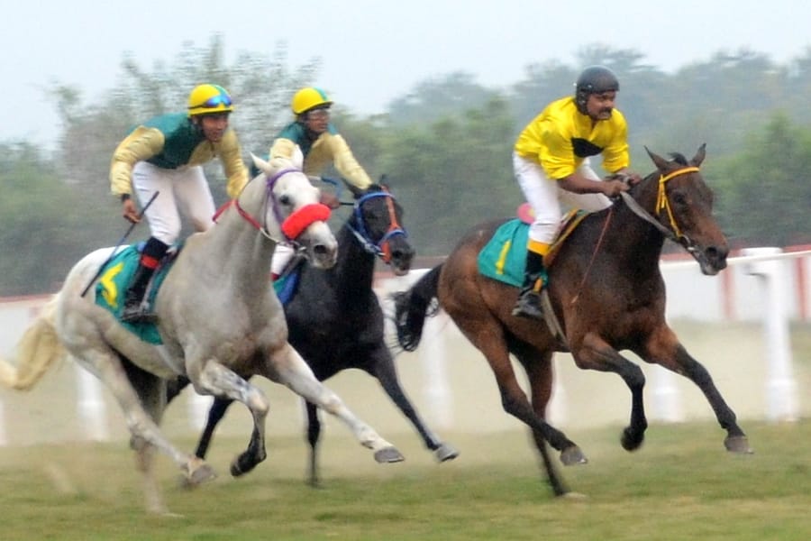 pics of horse race in Lucknow.
