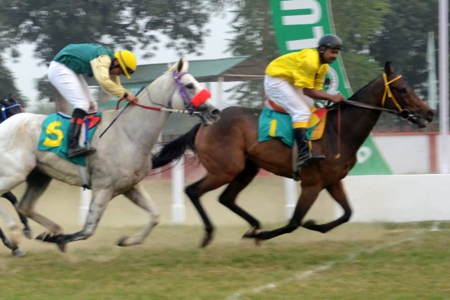 pics of horse race in Lucknow.