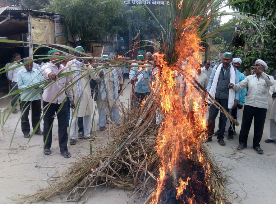 bhakiu fired sugarcane