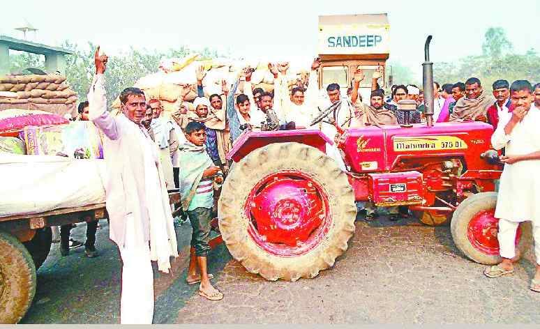 Haryana pauses rice, hooliganism