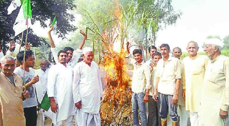 Performed by Ralod Holi celebrates sugarcane