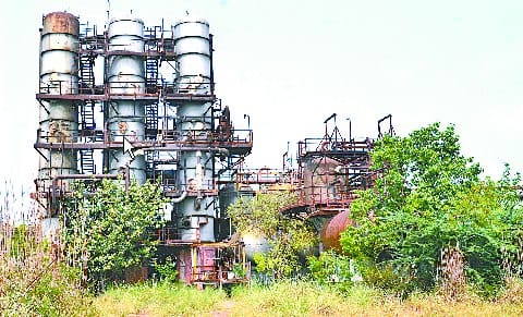 The work to create the enhanced SEZ, the survey