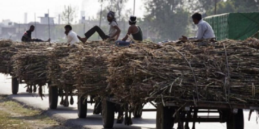 cm yogi released fund for payment of sugarcane farmers