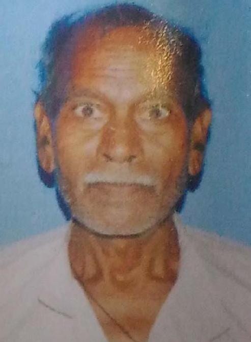 Bike dies in collision, death to elderly crossing the road