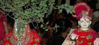 भगवान विष्णु के पूजन से मनी देवोत्थान एकादशी