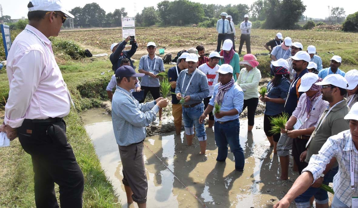  foreigner students learn farming in BHU varanasi