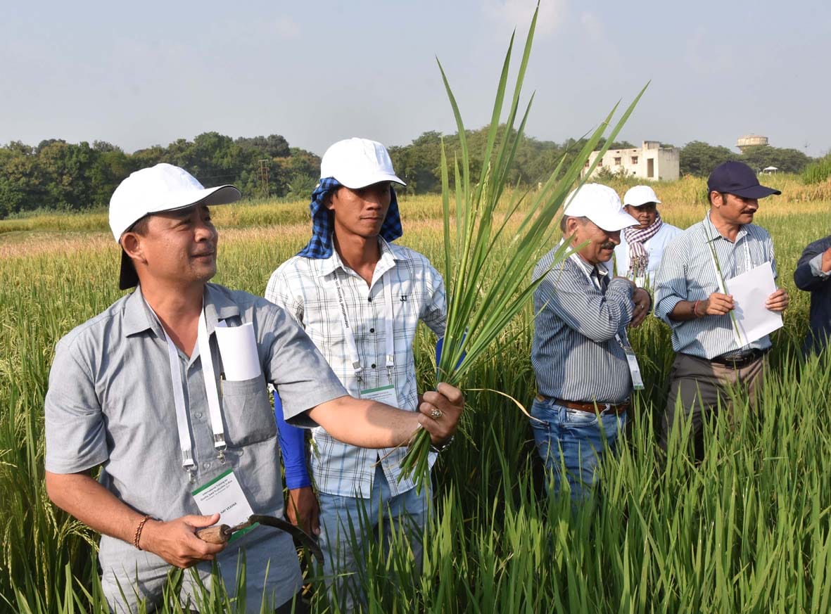  foreigner students learn farming in BHU varanasi