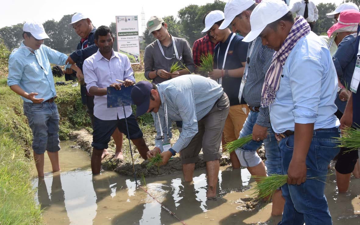  foreigner students learn farming in BHU varanasi