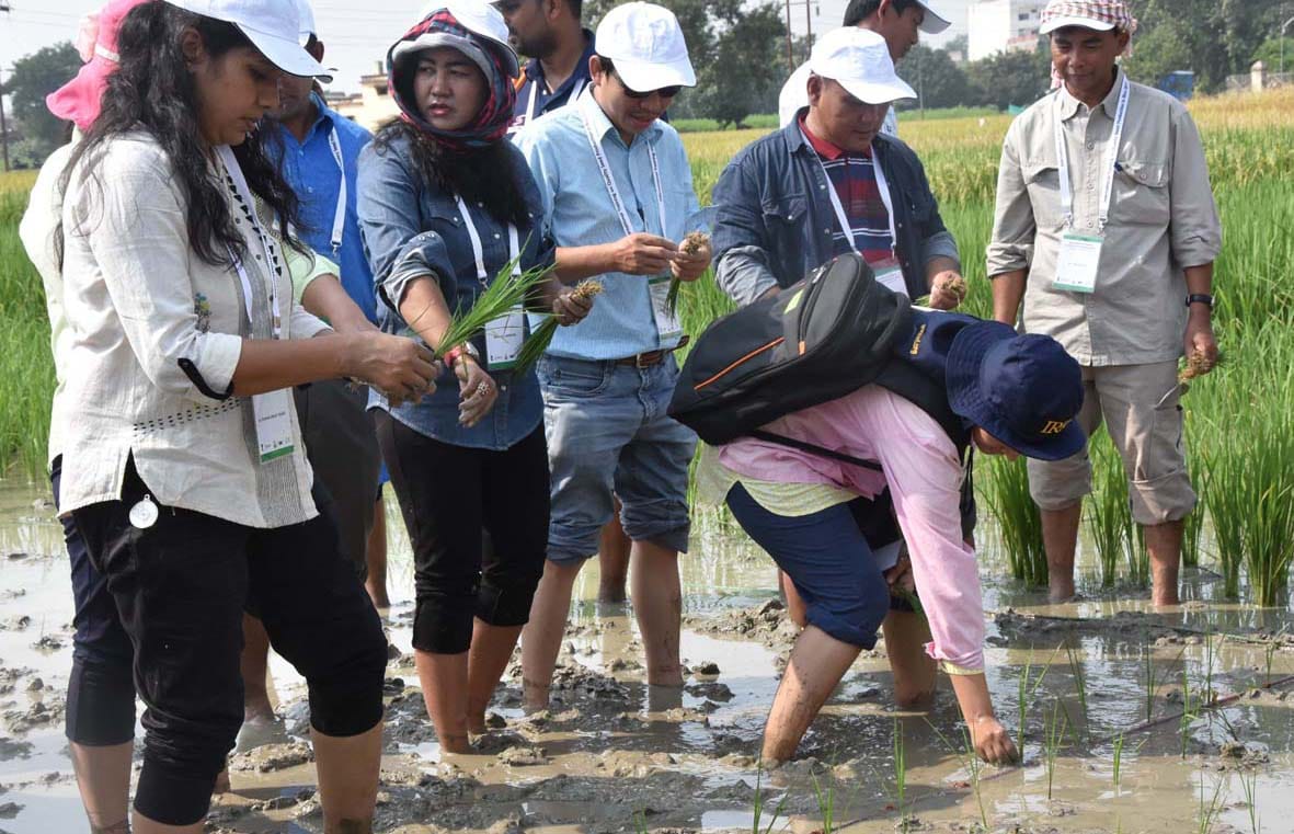 foreigner students learn farming in BHU varanasi