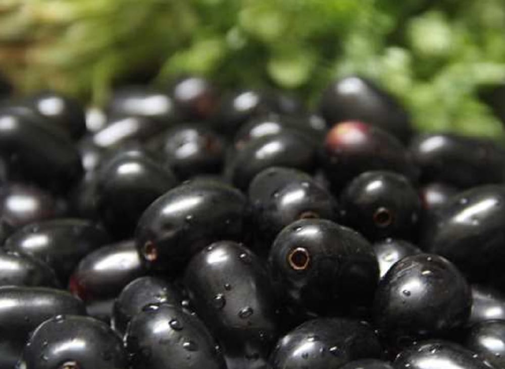 include jamun in daily diet beneficial for body parts