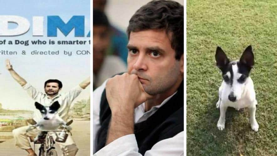 राहुल गांधी