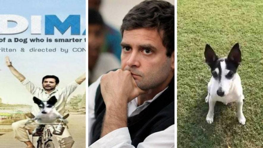 राहुल गांधी