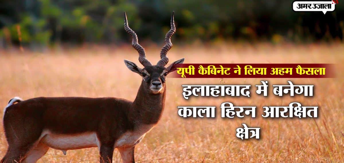 यूपी कैबिनेट 