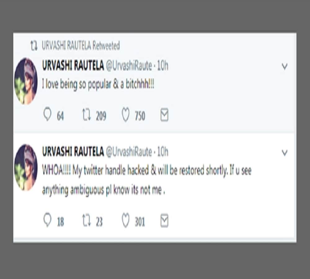 bollywood actress urvashi rautela twitter account hacked