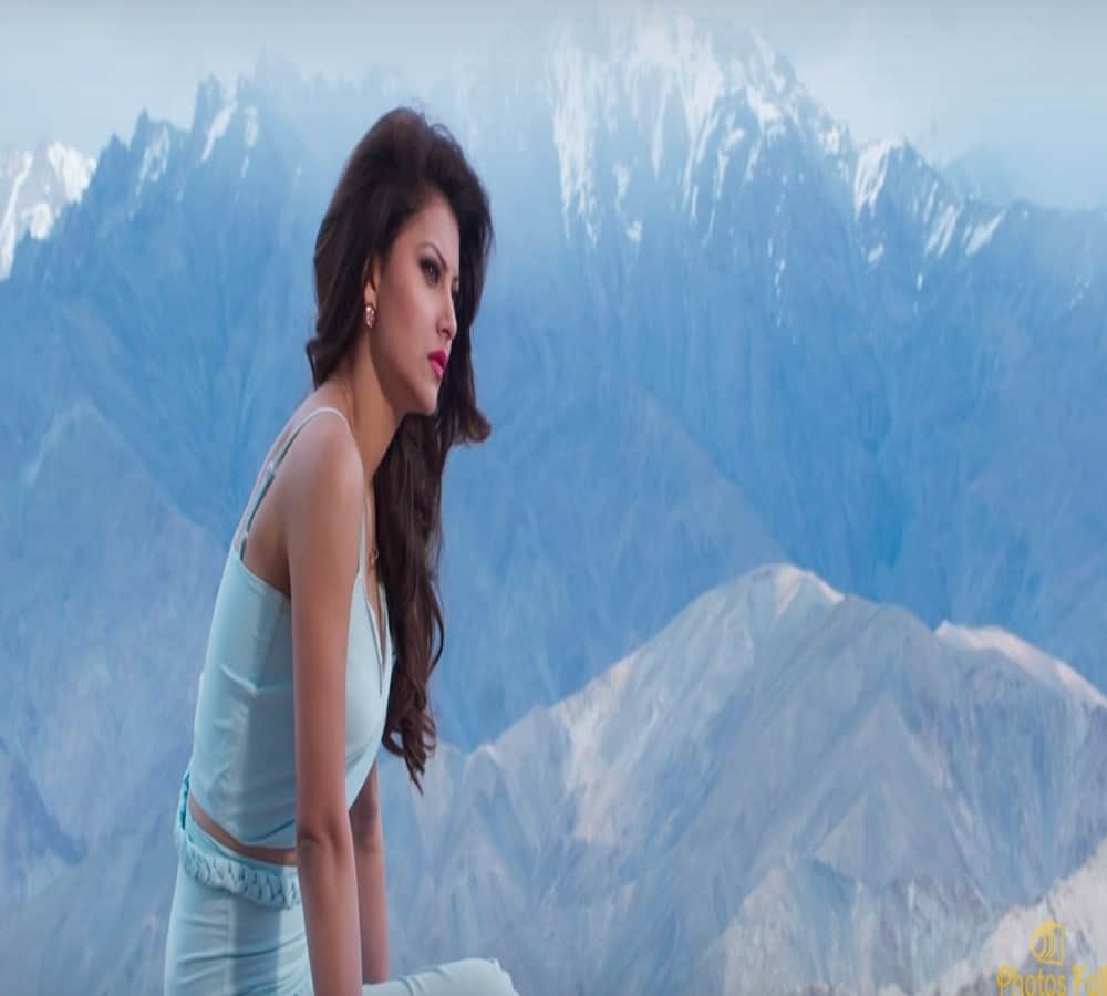bollywood actress urvashi rautela twitter account hacked