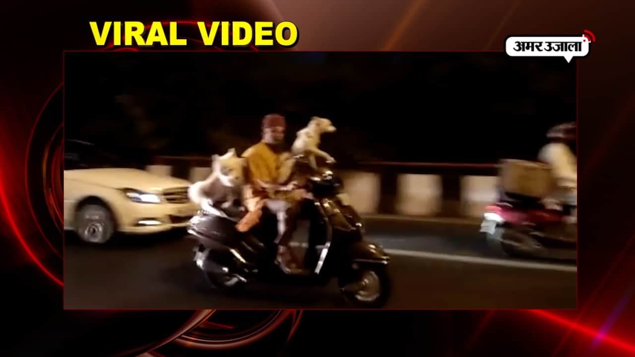 वायरल वीडियो 