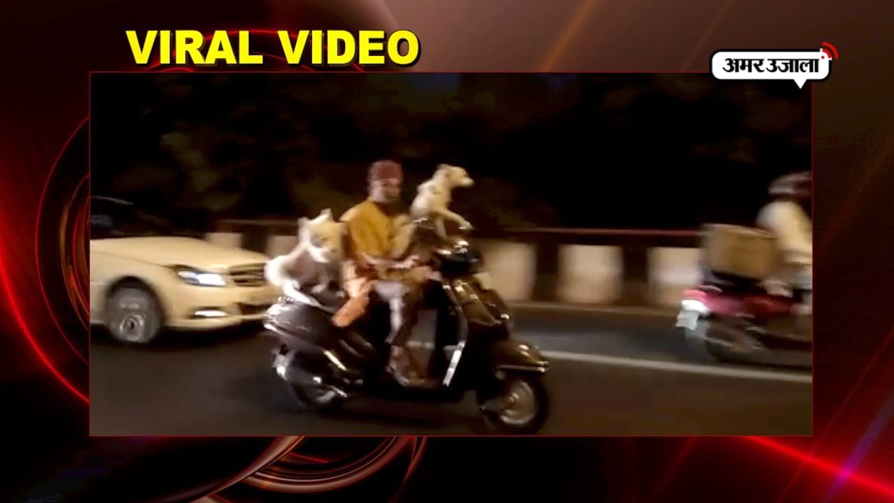 वायरल वीडियो 