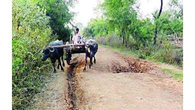 je accudsed for bribe