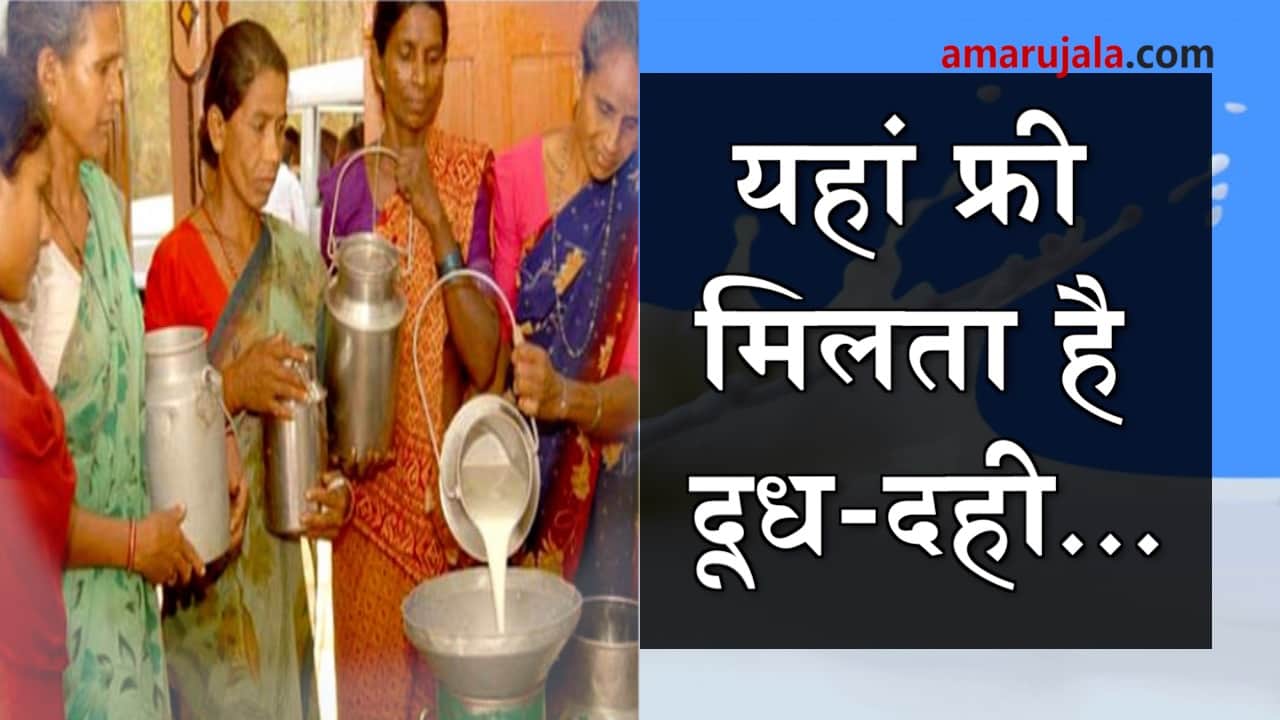 people distribute free milk and milk products in Dhokda village of Gujarat special story