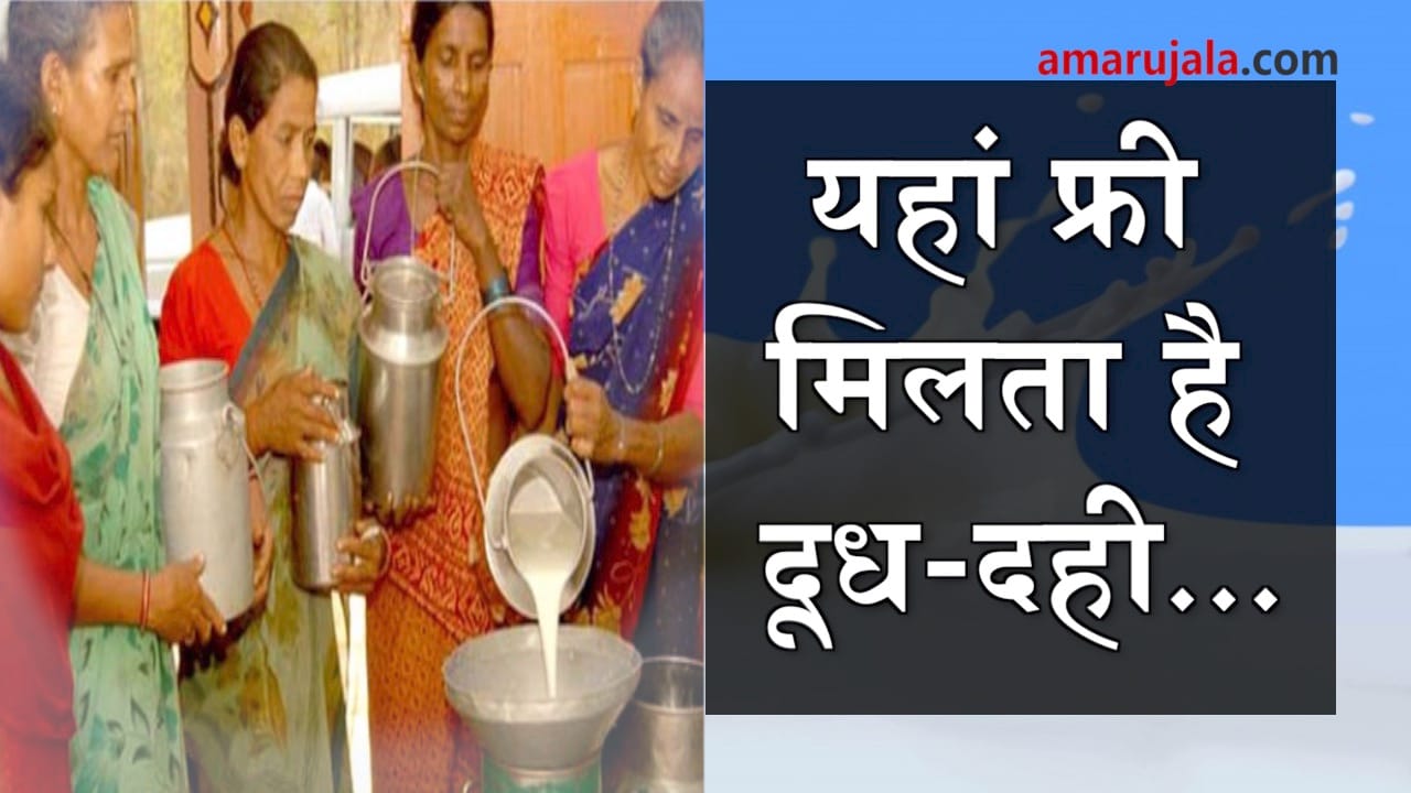 people distribute free milk and milk products in Dhokda village of Gujarat special story