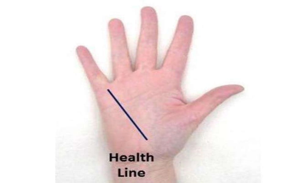 according to palmistry these line on palm are auspicious sign