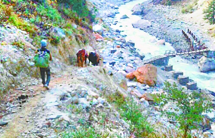 People of Darma Valley start coming on seasonal migration