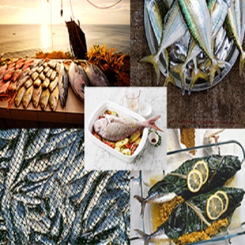 eating fish during Pregnancy prevent fetus from asthma